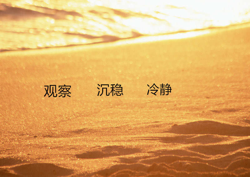 7.3外汇投资风险怎么控制