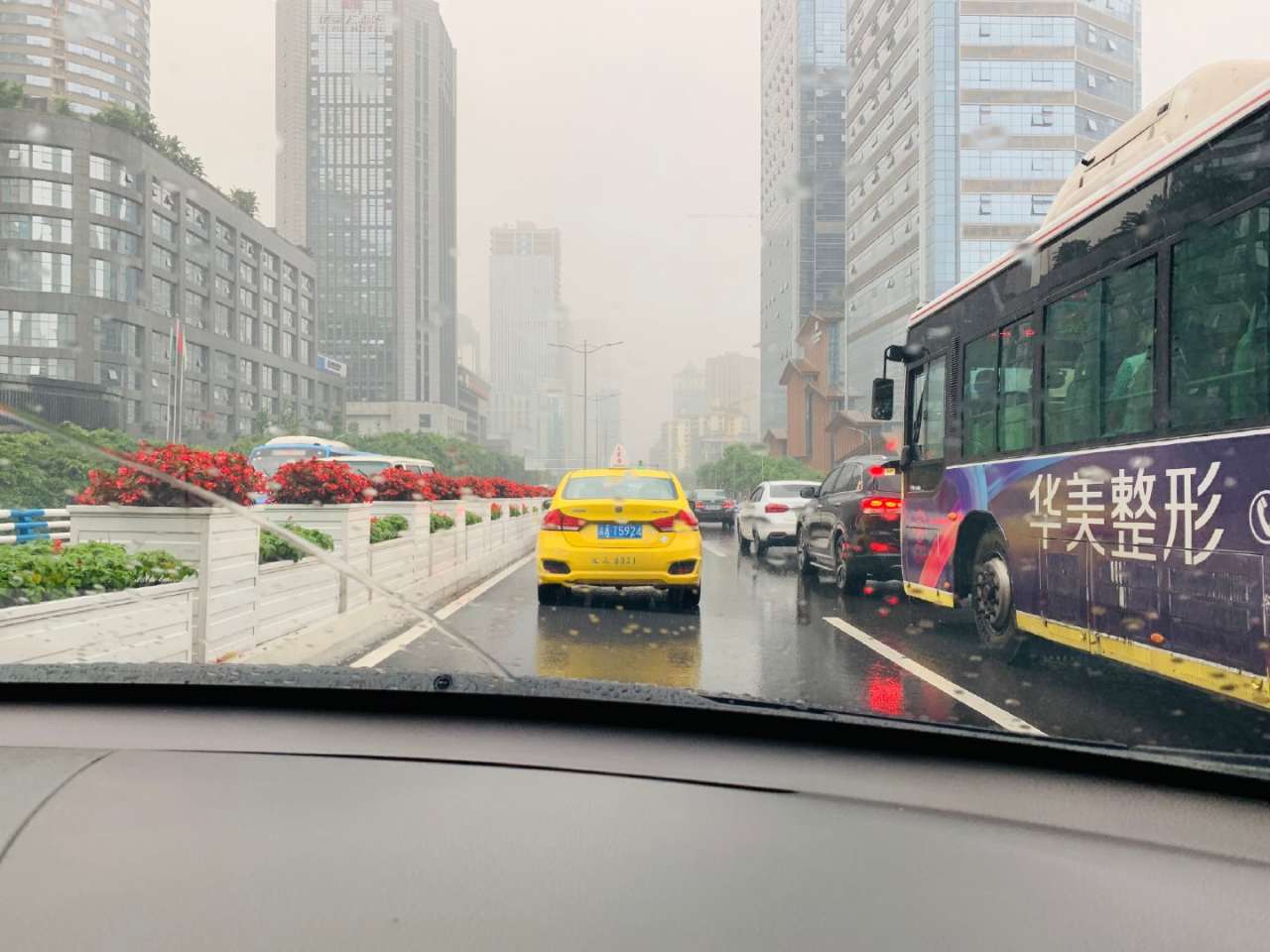 feed-image-0