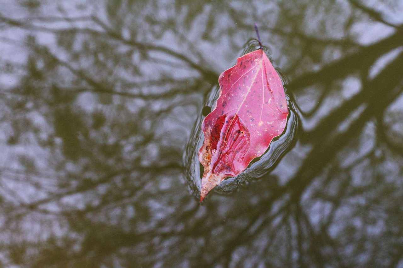 踏浪点神：恒指期货短线交易中遇到的问题