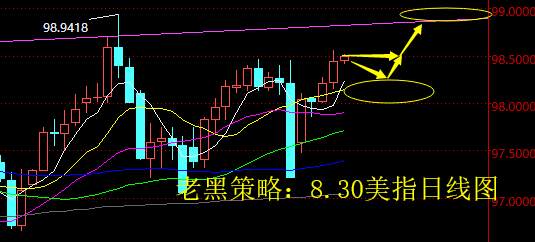 老黑策略：8.30外汇分析策略