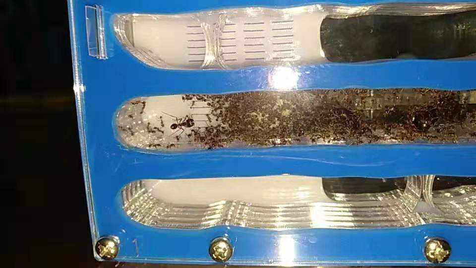 心态