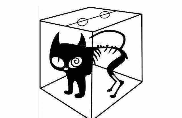 6个月净赚81%的策略，竟然不要钱？！