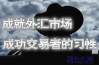 看过外汇交易专业人士的做法后,我也开始变得专业了,精品好文