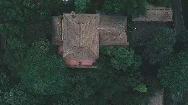 那些忙于交易而弄丢恋人的交易员们