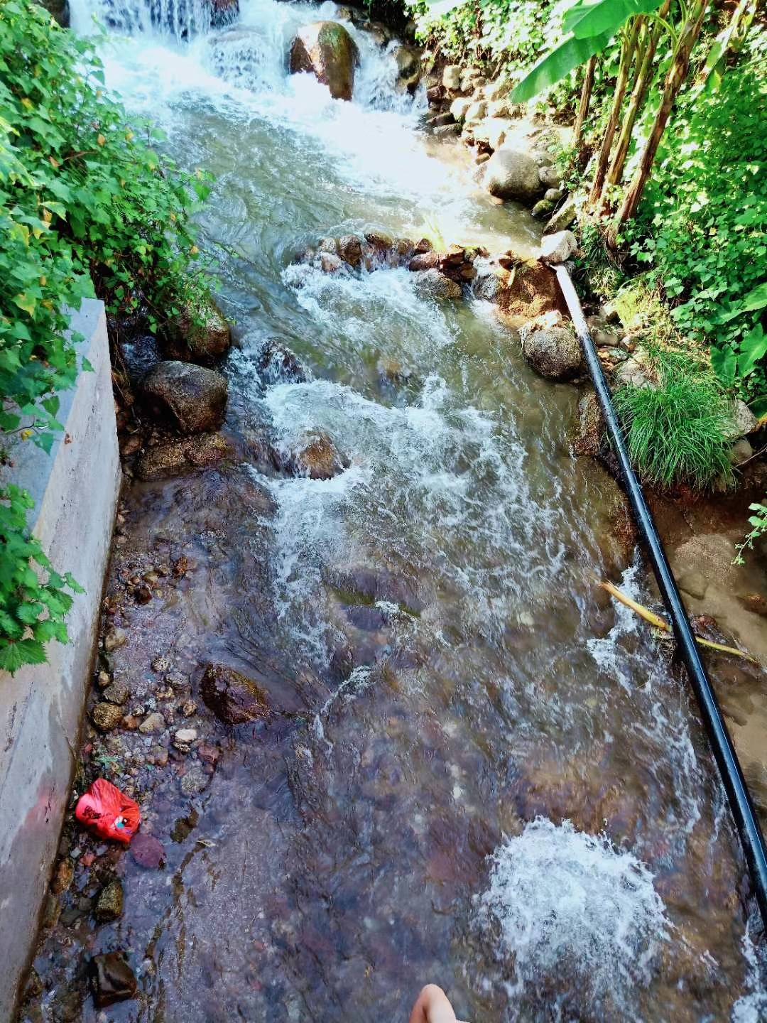 feed-image-2