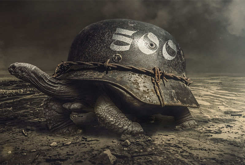 为什么技术过关了还是无法盈利?你欠缺的是一次顿悟