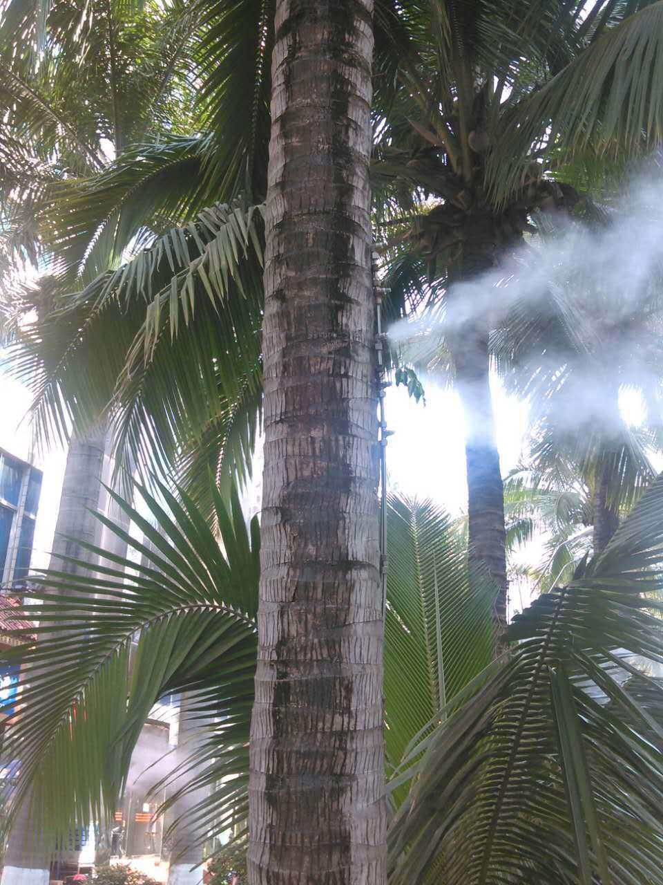 你在做操盘手，交易员的这段经历中，比较难忘的痛苦有哪些？