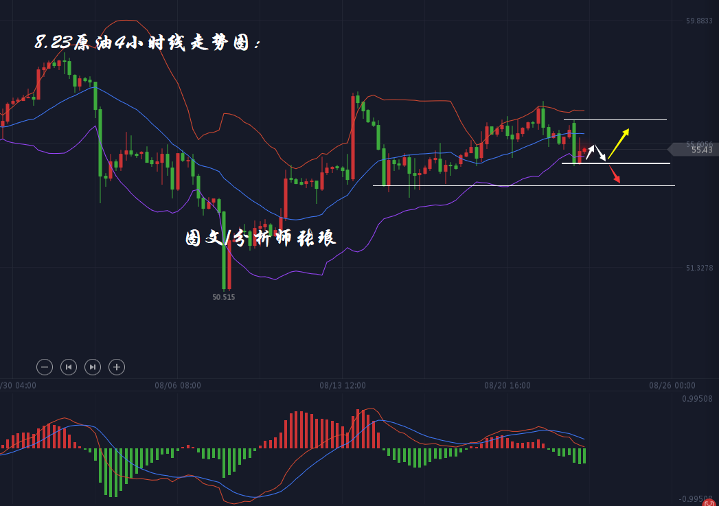 分析师张琅：杰克逊霍尔年会召开，黄金、原油保持横盘震荡寻求破位