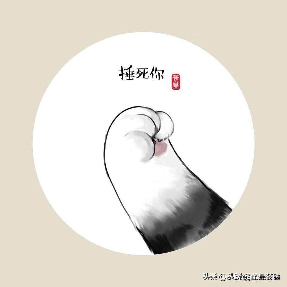 feed-image-2