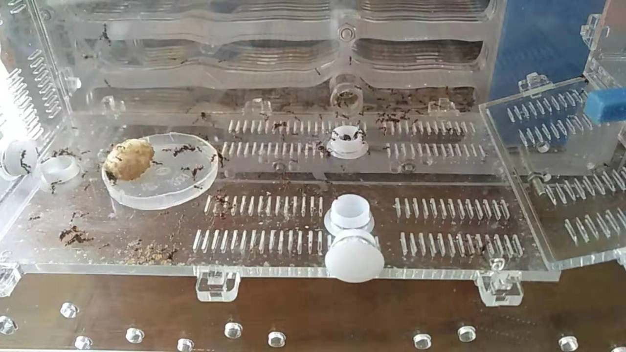 心态