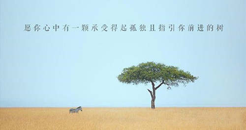 feed image