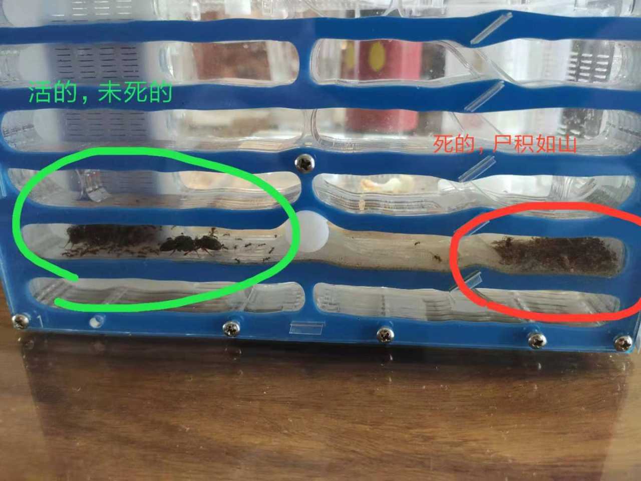 心态