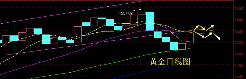 老黑策略：9.12晚盘黄金分析策略