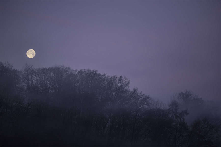 蓄力 趋势 开盘 节点 价格 定律