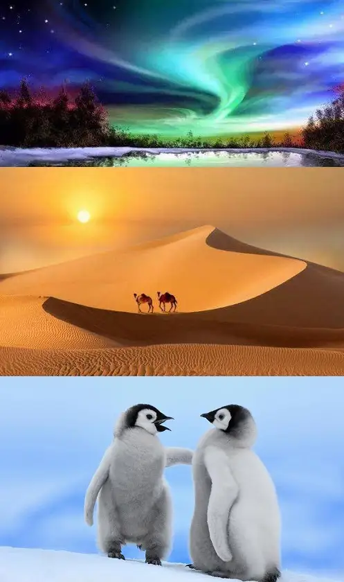 feed image