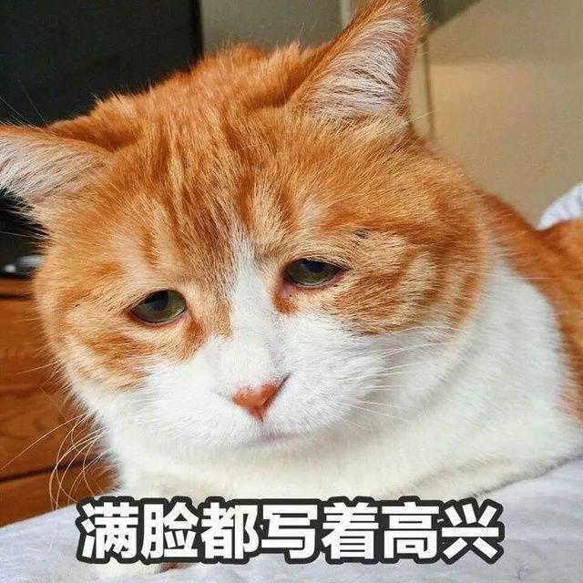 feed-image-0