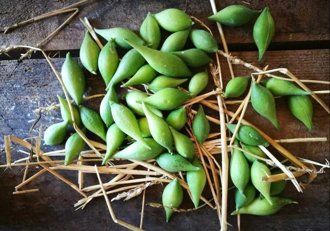 儿时常吃的零食，内含“牛奶”，腌一下才美味，再不吃就飞走了