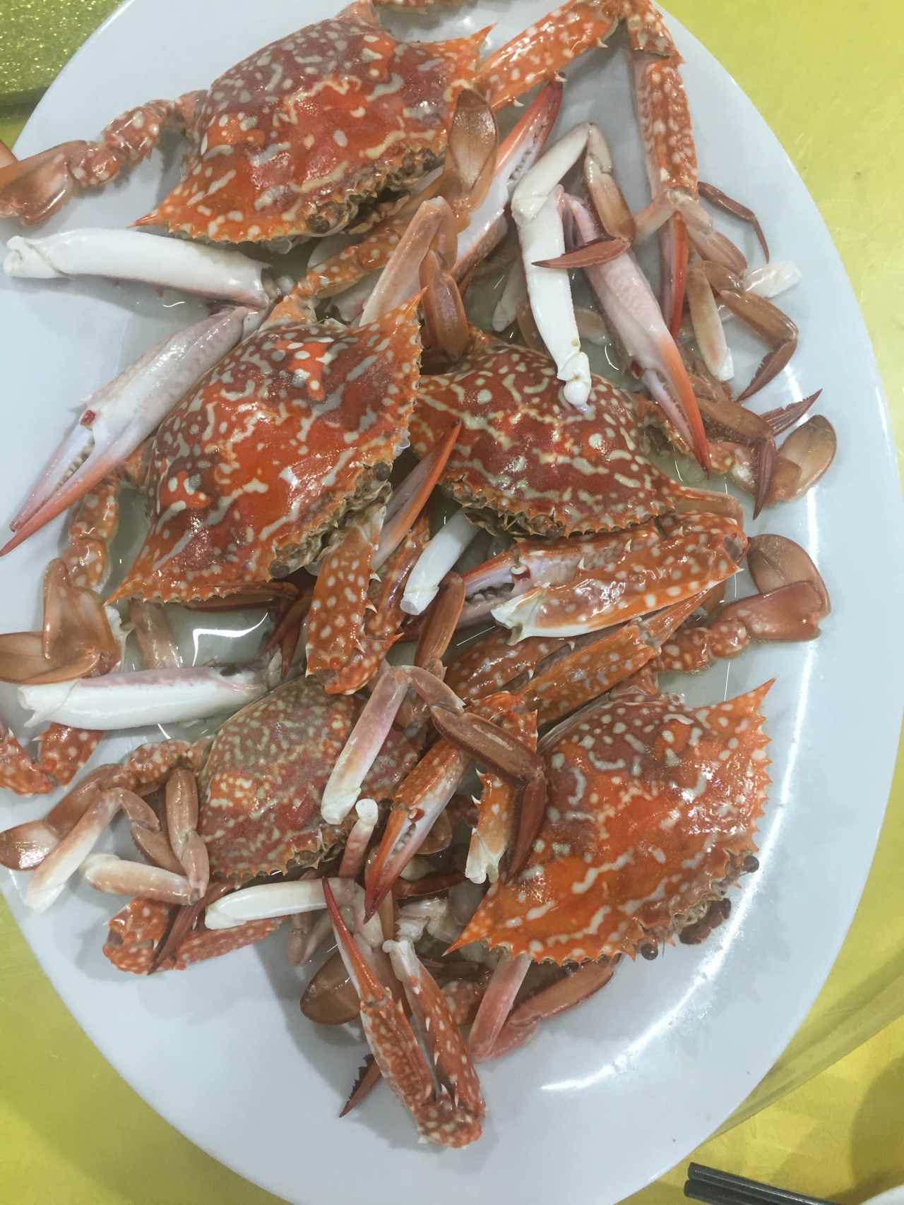 feed image