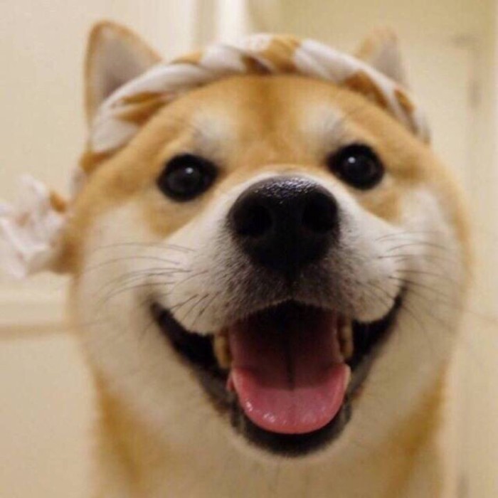 feed-image-0
