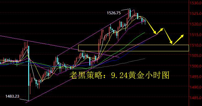 老黑策略：9.24黄金分析策略