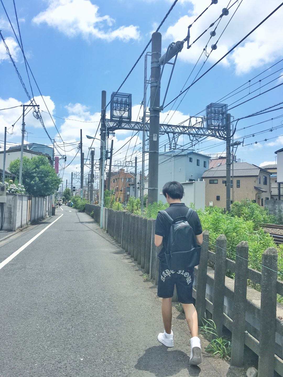教我如何不想她