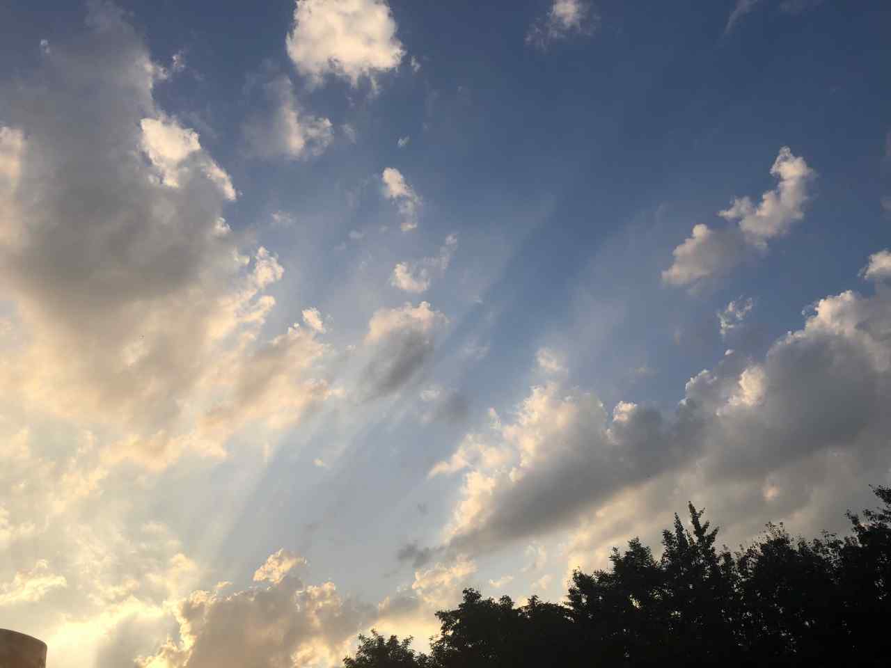 feed image