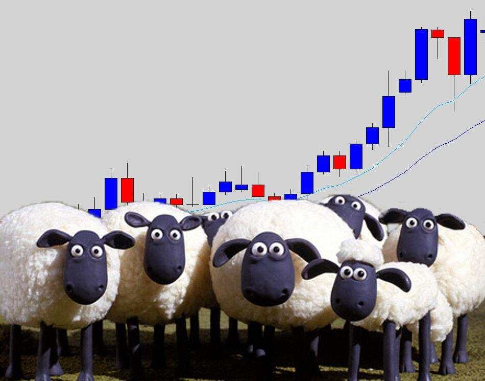 资深交易者:改变我交易生涯的三个观念