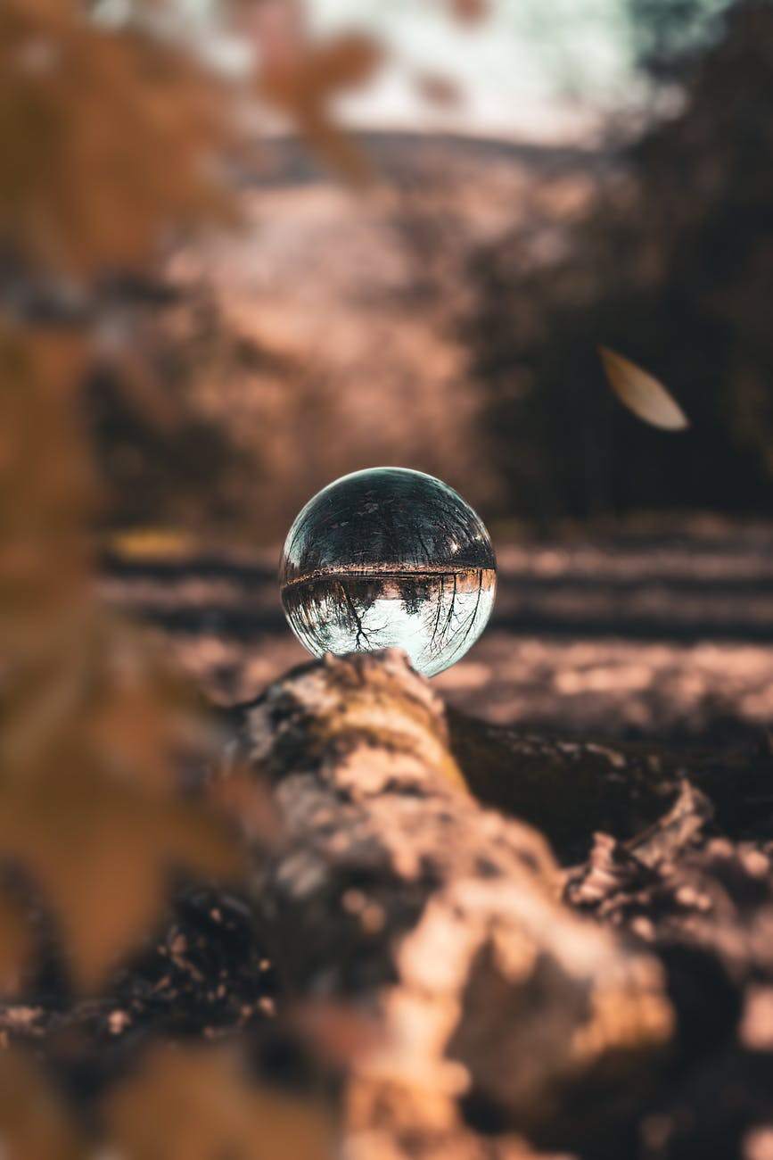 feed image