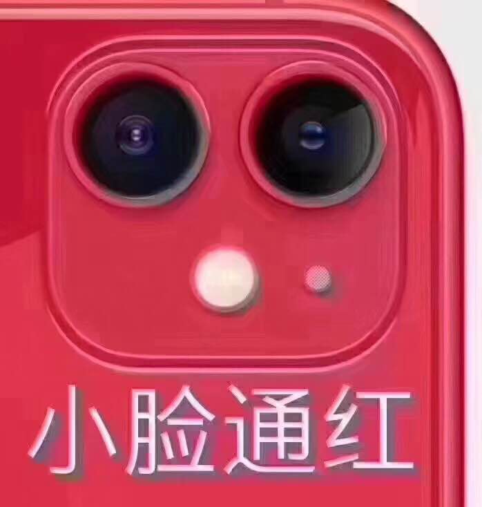 feed-image-0
