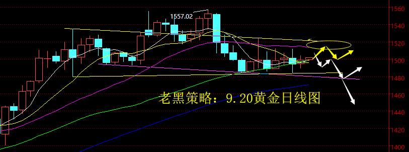 老黑策略：9.20黄金分析策略