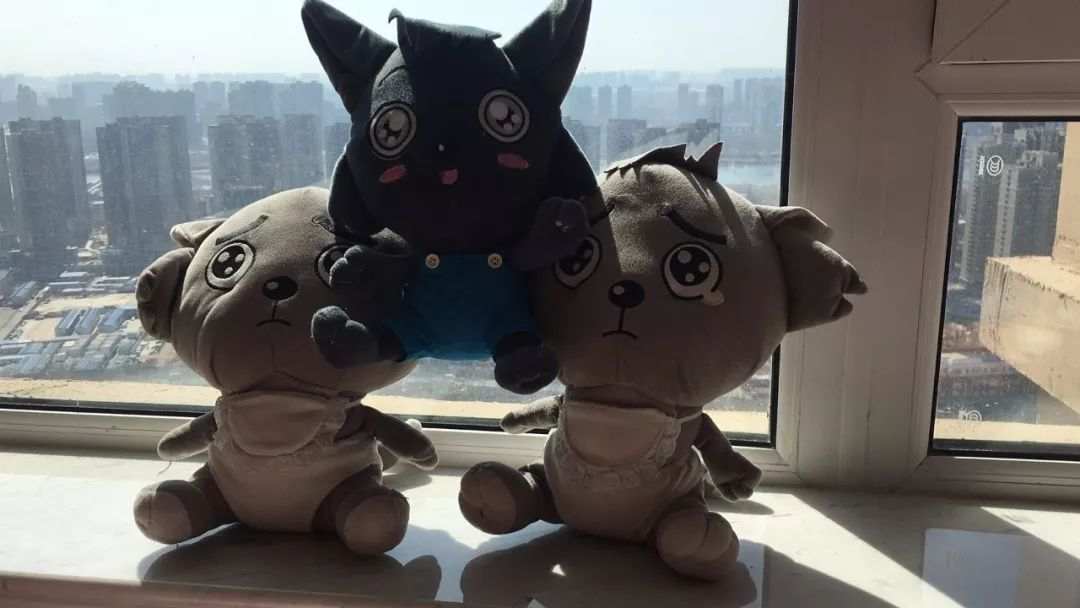 00后交易员上线！手握5000美金，她只求在市场蹭口汤喝 | 我，交易者