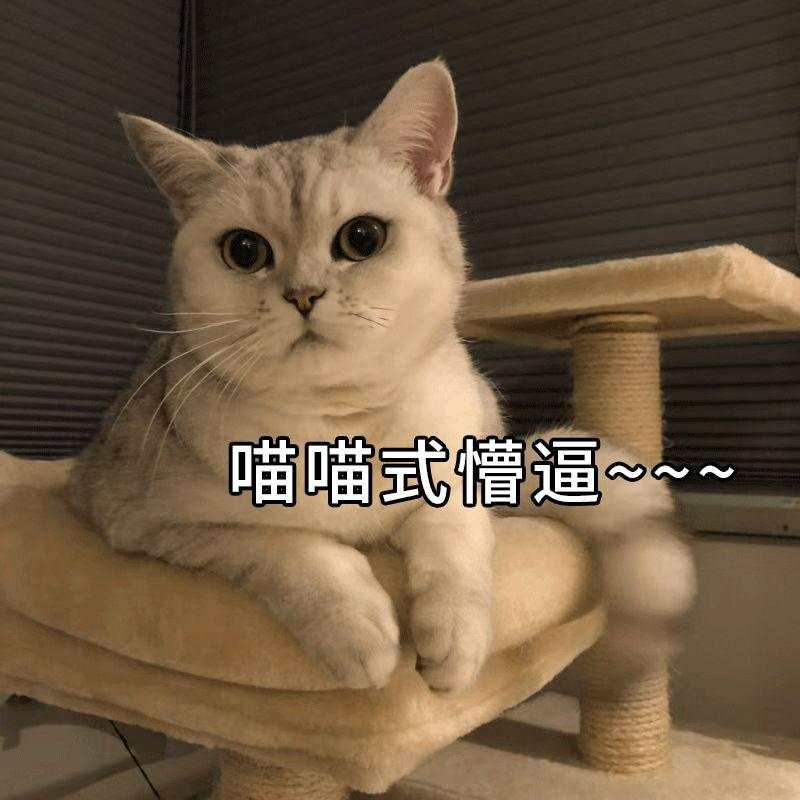 0门槛买房？！楼市最劲爆的事发生了！！！