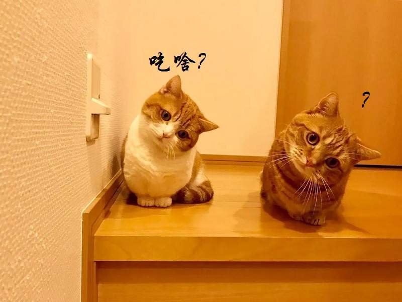 好久不见