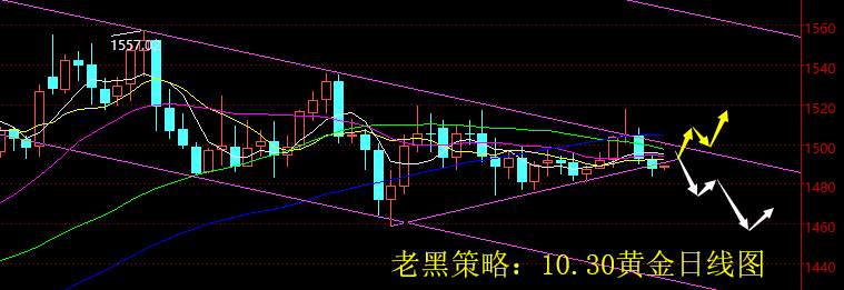 老黑策略：10.30黄金分析策略