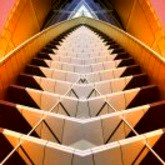 feed-image-0