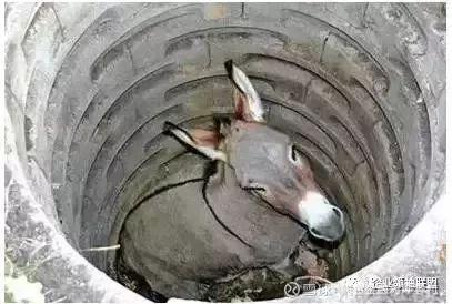 用胆识与杠杆“借”来的成功!白手起家生意人的创业传奇,值得深度学习!