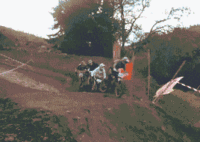 feed image