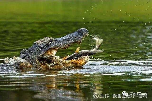 投资的艺术