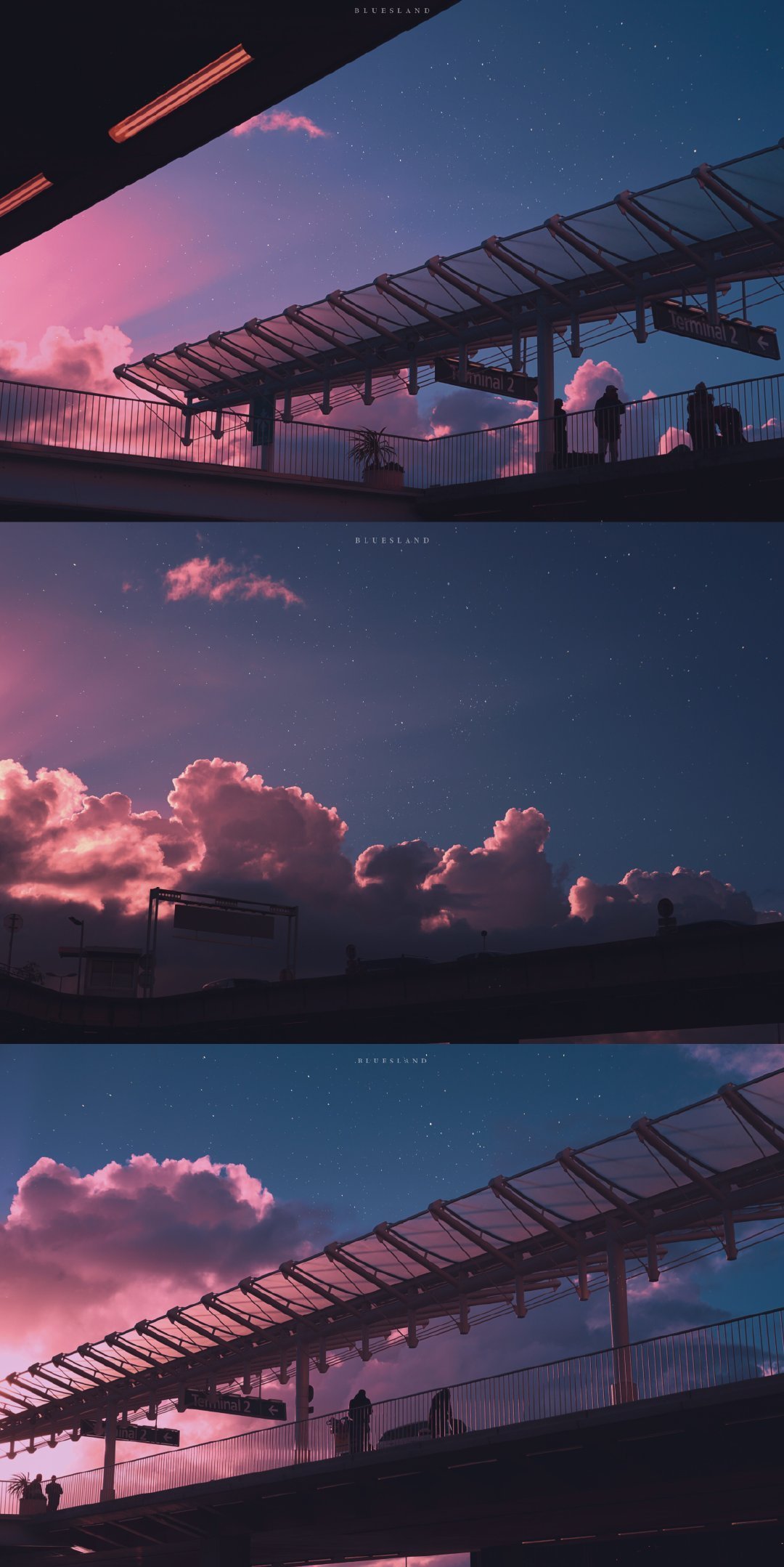 feed-image-0