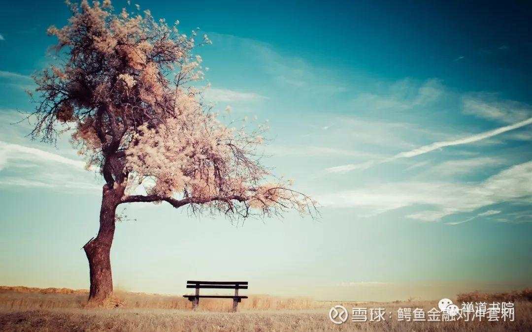 顶尖交易员的心得披露：“祸兮福所倚，福兮祸所伏”，字字珠玑！