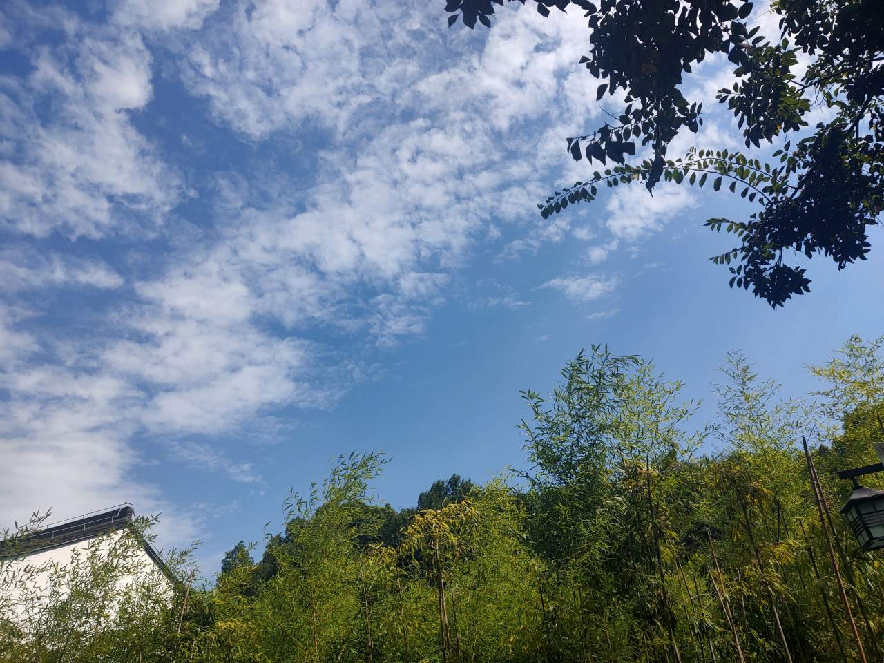 feed image