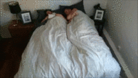 feed image
