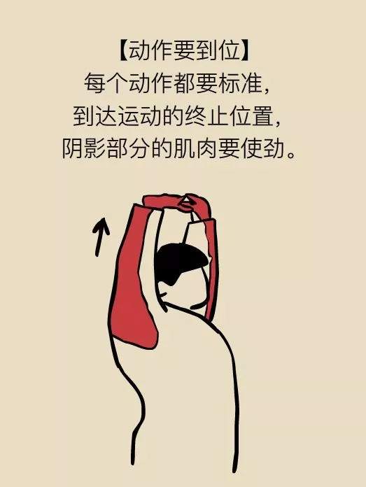 转载  自  期乐汇    我在期货圈子里，已经很难找出一根健康的脖子