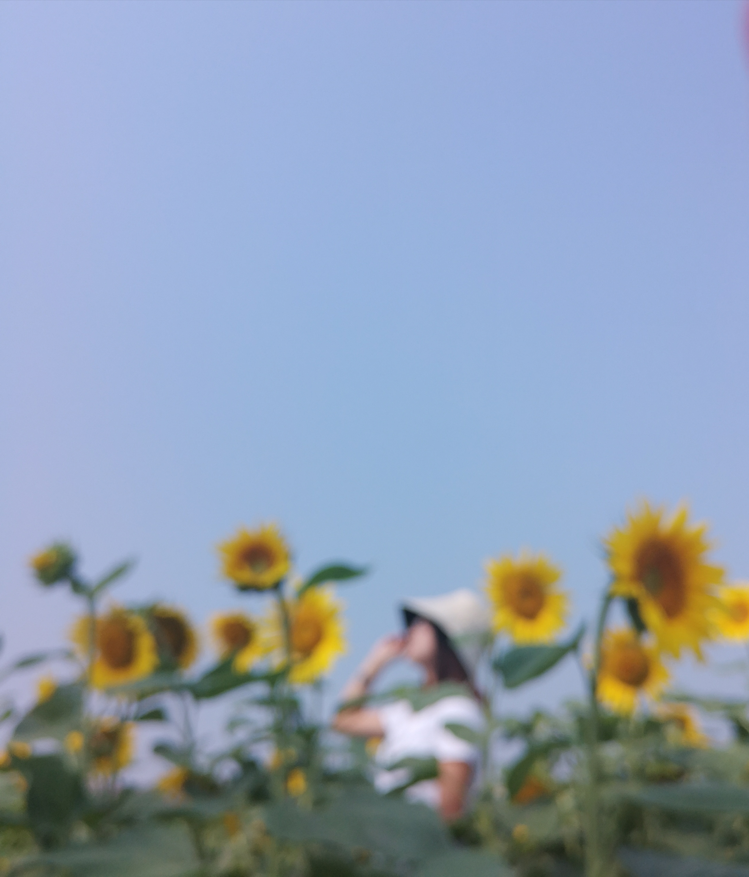 feed-image-0
