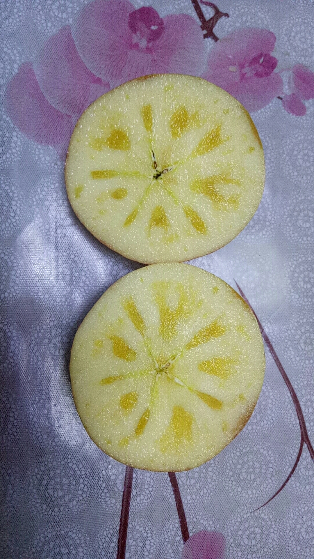 feed-image-0