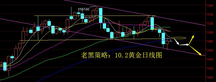 老黑策略：10.2黄金分析策略