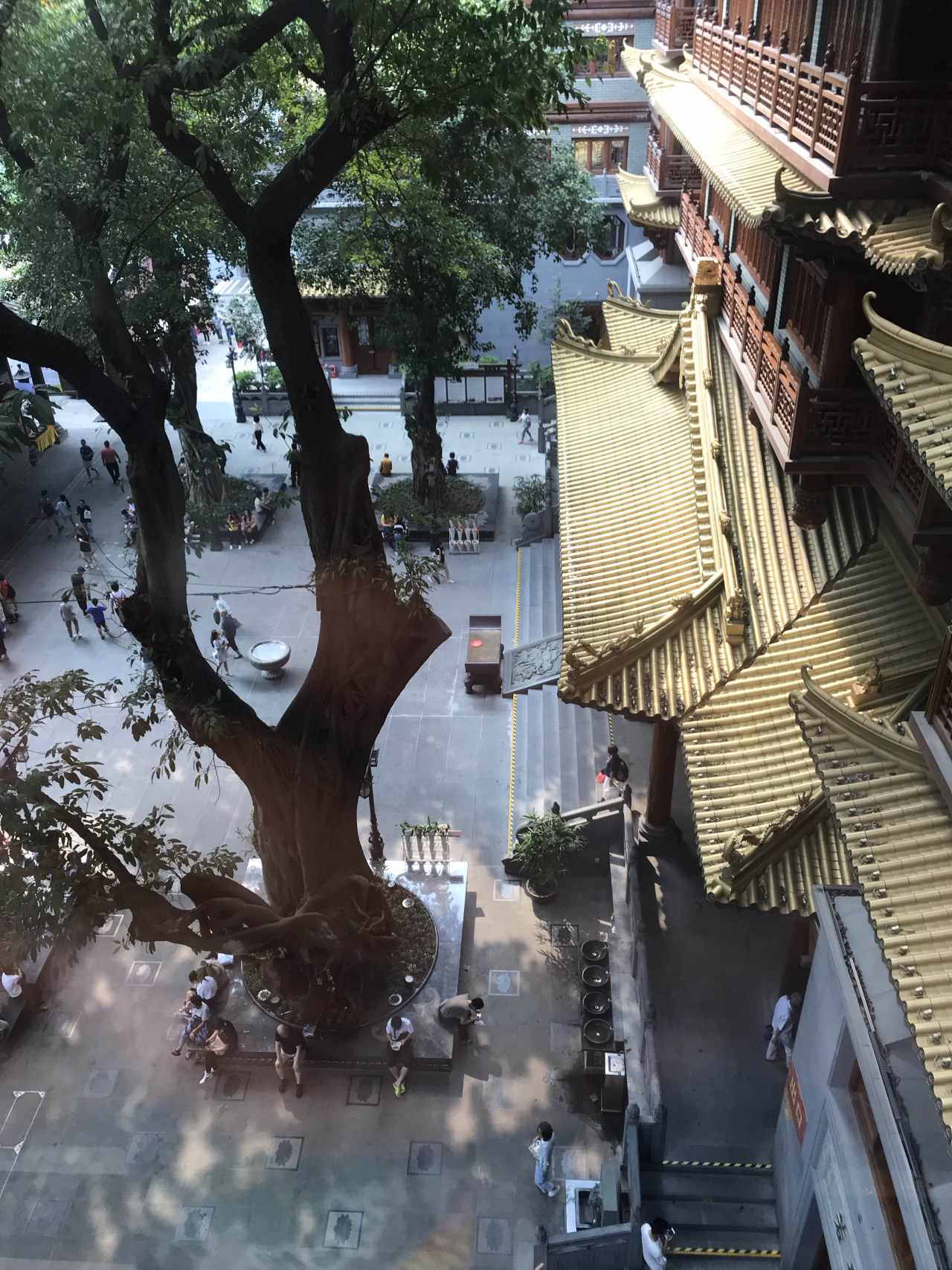 自助餐 松茸 哼哼 足足 寺庙