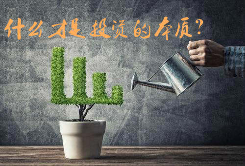 踏浪点神：认知的变现，才是投资的本质