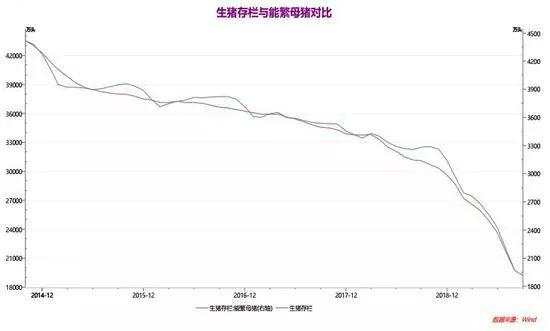 【期权时代】玉米期权交易看这篇！（基本面、技术面及策略分析）