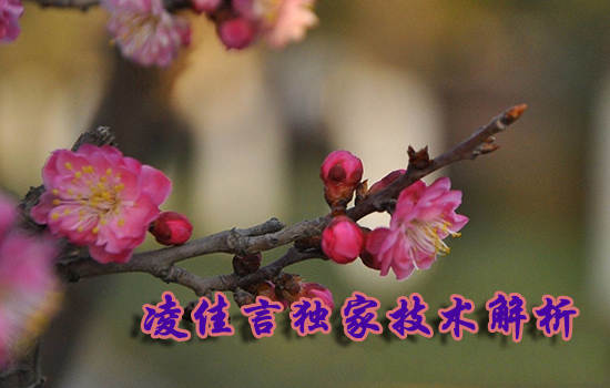 凌佳言：投资黄金月入百万的秘籍，千万别传出去，阅完即焚！